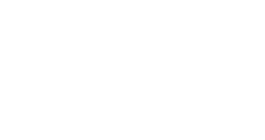 Carpe Diem Marketing